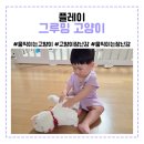 산책하는 고양이 | 플레이 움직이는 그루밍 고양이 장난감 산책하는 고양이