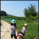 2015.5.23-25 : 김천휴게소-처가-영천댐-임고강변공원-처가 뒷산(3편) 이미지
