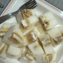 파이달램 | 2026년 2월 일상 - 1