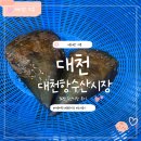 아기랑 대천항 수산시장 다녀온 후기! 가격 비교는 꼭 하고 사세요