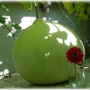 용정6리 이미지