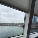 투어땅 | ⛴️ 대마도 도착하자마자 결항 통보 | 투어땅 배편·셔틀버스·결항 대처 후기