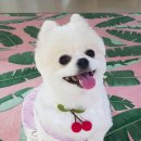 베베네 개스트하우스 이미지