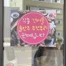 오징어파는언니 이미지
