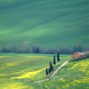 THE SPRING 이미지