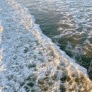 원우월드 이미지