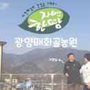 광양매화골농원 영농조합법인 | [In 컴퍼니] 자연한땀, 광양매화골농원 #매실#매실장아찌#매실원액#고로쇠