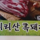 지리산흙돼지 이미지