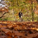 박현욱 행정사 사무소 이미지