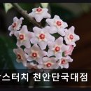 맘스터치천안단국대점 | 천호지 숨은 맛집 맘스터치 천안단국대점 음식 품질과 가성비 칭찬 가득