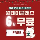 성빈농장 | [로허들 커피교실 용산점] 호주 세컨비자 워홀준비를 위한 바리스타 수업듣기 : 원데이 라떼아트/ 호주...