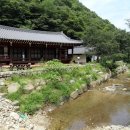 쑥뜸마을