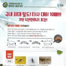 해충닥터