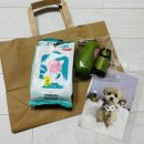 이쁘개 | 부천 애견미용 ‘오늘도 이쁘개’ 말티푸 스포팅 테디베어컷 + 6mm 후기