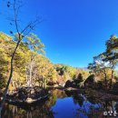 하동포구공원1 | 하동 반값 여행(삼성궁, 계절열매, 유로제다)