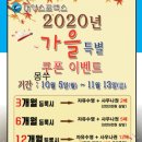 대영 스포렉스 이미지