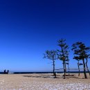 낭만 바다 이미지