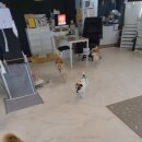 두두스테이 이미지