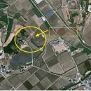 우복 정경세 신도비 이미지