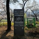 황새울교 앞 네이버블로그