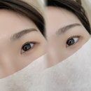 와이오엔 이미지