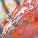 삼각산사우나 이미지