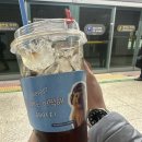 마지태권도장 | 서울랜드 썰매 첫경험❄️