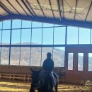 덕소 승마클럽 이미지