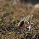 상서초교 이미지