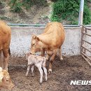 황해농장 이미지