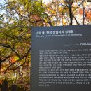 피노키오 자연휴양림 야영장 이미지