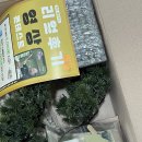 [내돈내산] 어버이날 부모님 용돈박스 추천 &#39;소나무 분재 용돈박스&#39;