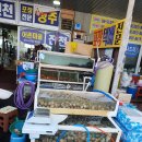 맛들의축제 | 2026 남당리 새조개축제 가격부터 맛까지 솔직 후기