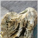 진도대교주유소 이미지