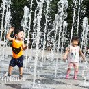 숲의 아이 이미지