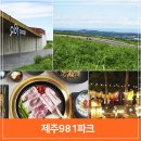 마켓코시롱 | 제주 981파크 제주도 카트 체험 및 흑돼지와 야시장 일정