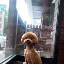 현경 이미지