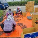 낙동면 상촌리 이미지