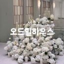 성내제6교 왼쪽 | 방배 오드힐하우스 하우스웨딩 26년 6월 예신 홀 투어 솔직 후기