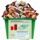 희망의 꽃 이미지