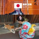 교토 자유여행 이미지