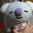 아미피아 이미지