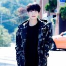 댕댕몽