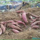 구시농장 이미지