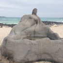 보담애월 이미지