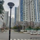 수영강변대로 이미지