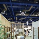 오마틸라 이미지