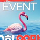 주식회사 홍쌤