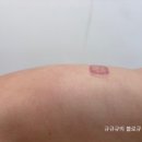 숲칼프 풍무점 네이버블로그