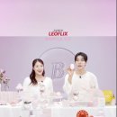 제이셀렉트